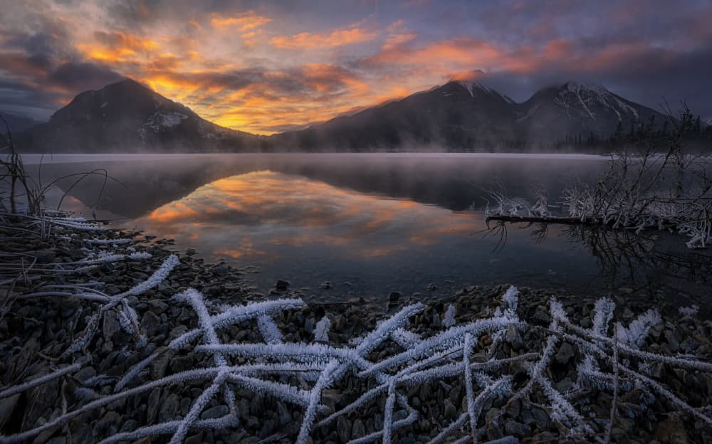 Golden Mountain Lake Mist by Lydia Jacobs — canvas wall art