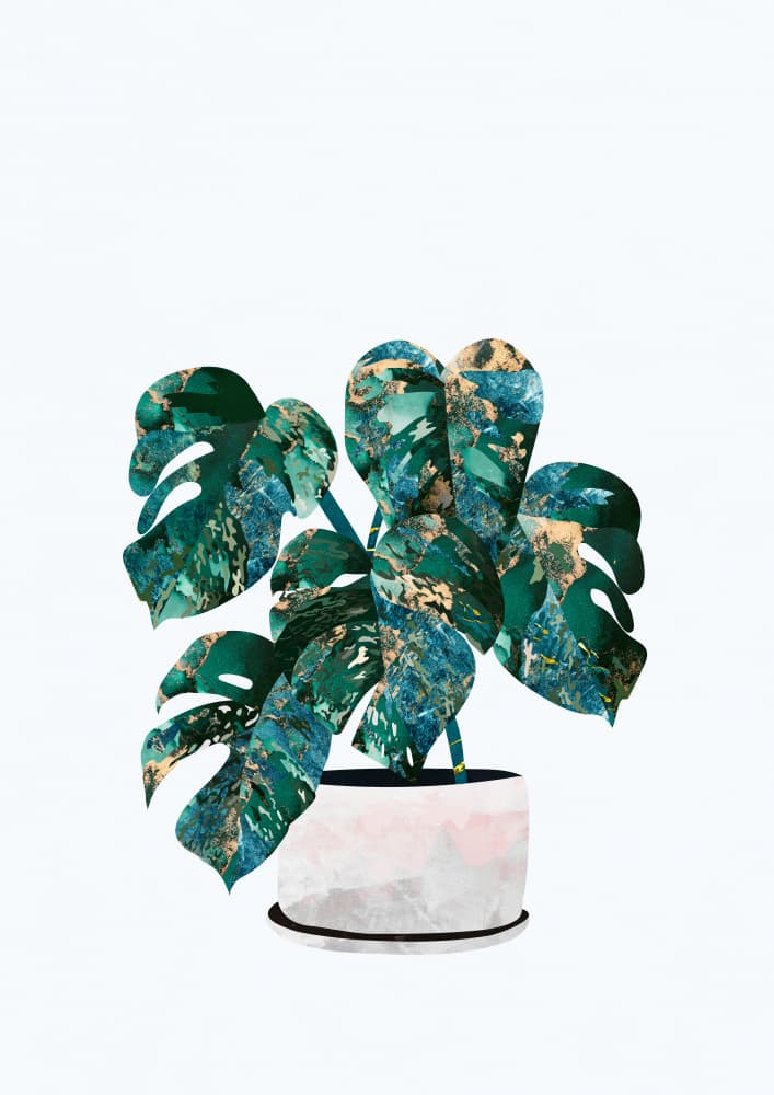 Emerald Monstera Plant by Sarah Manovski — canvas wall art