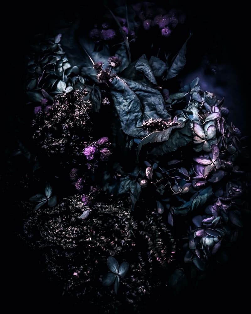 Dark Purple Garden Mood by Michele Frechette — canvas wall art