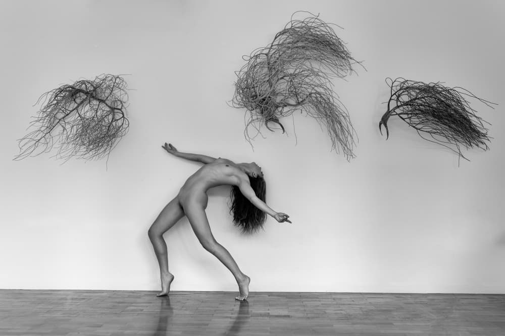 Ethereal Nude Dance by Ray Fritz — canvas wall art