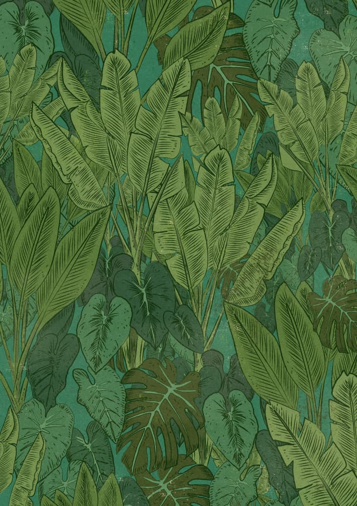 Lush Tropical Leaves by Nicholas — canvas wall art