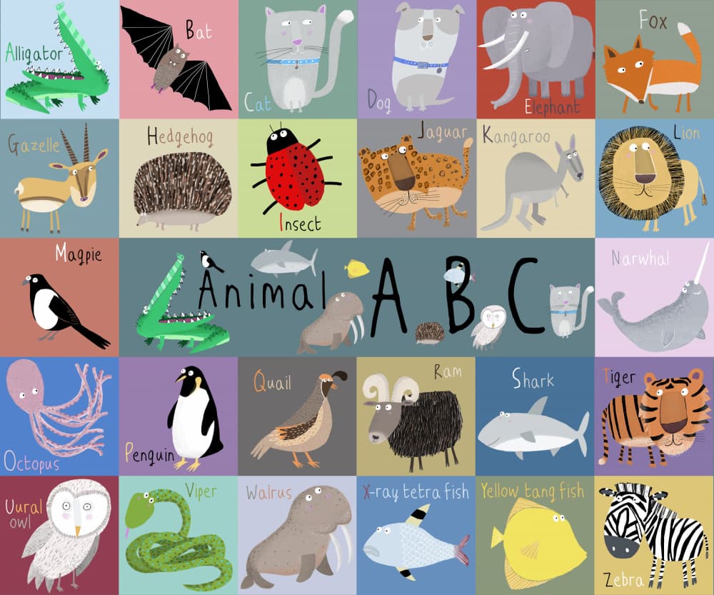 Whimsical Animal Alphabet by Carla Daly — canvas wall art
