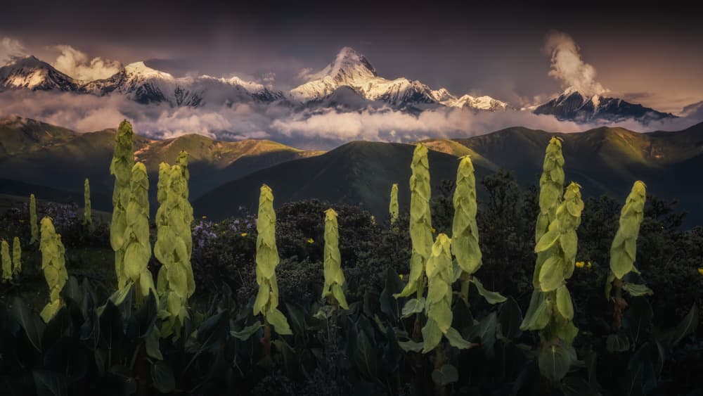 Dramatic Mountain Landscape by Yuan Cui — canvas wall art