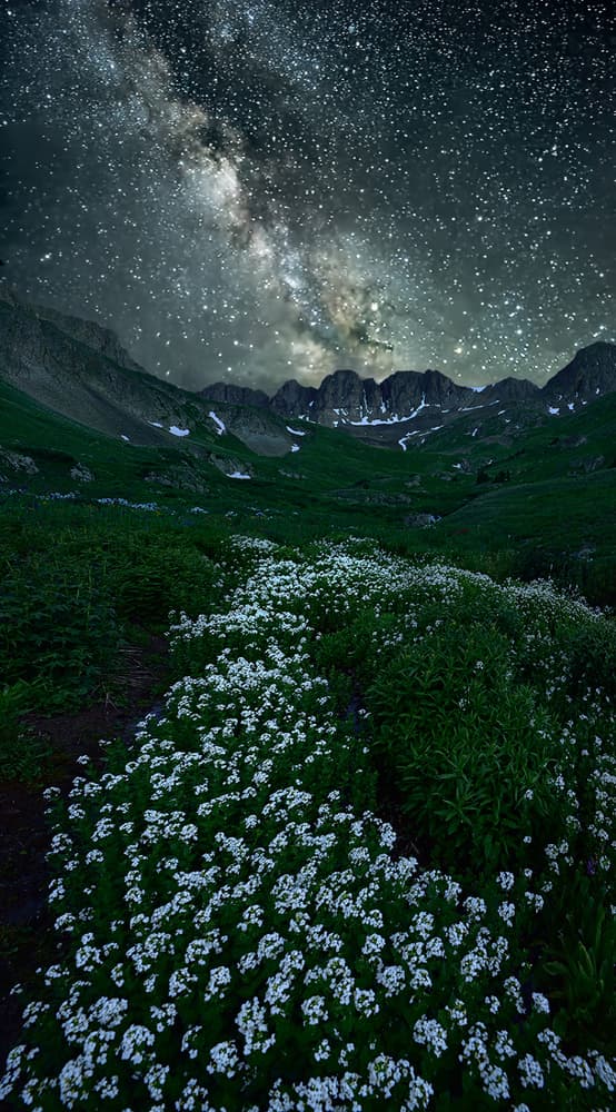 Milky Way Mountain Bloom by Mei Xu — canvas wall art