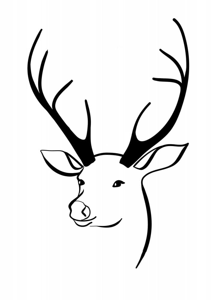Elegant Deer Head by Rosana Laiz Blursbyai — canvas wall art