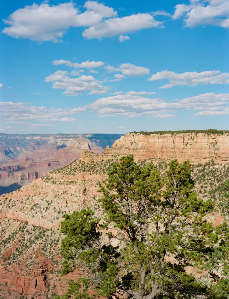 Majestic Grand Canyon View by Bethany Young — canvas wall art