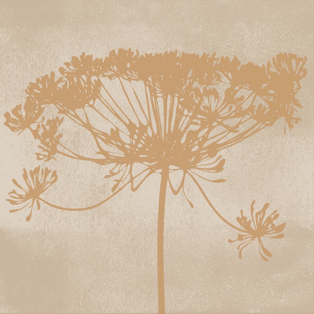 Delicate Botanical Silhouette by Dina Dankers — canvas wall art