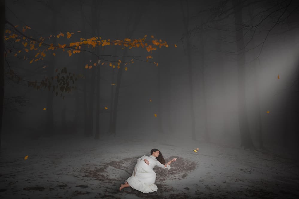 Misty Forest Dream by Martin Marcisovsky — canvas wall art
