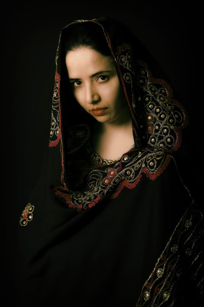 Regal Veiled Portrait by Jacob Tuinenga — canvas wall art