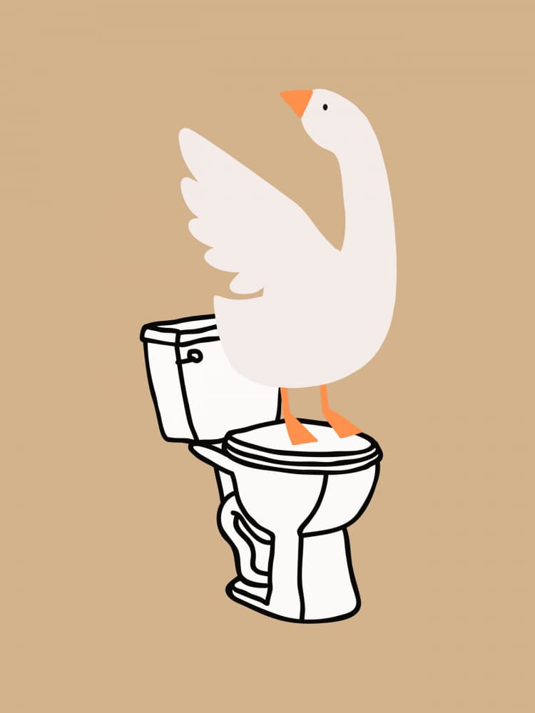 Silly Goose On Toilet by Jolly and Dash — canvas wall art
