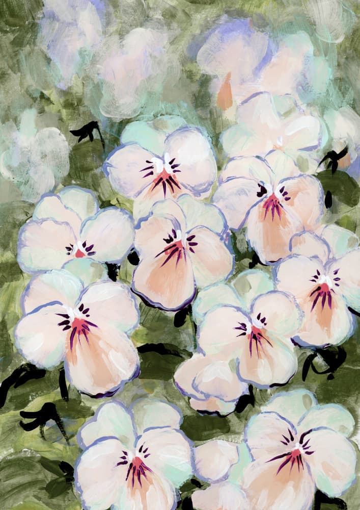 Delicate White Pansies by Rosana Laiz Blursbyai — canvas wall art