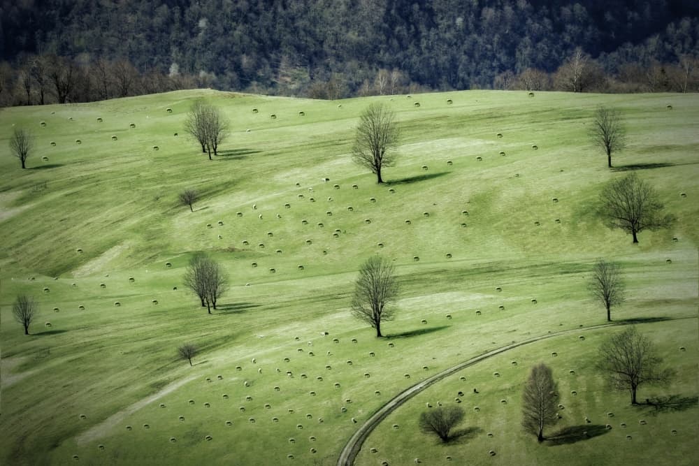Green Hills Hay Bales by Anna Cseresnjes — canvas wall art