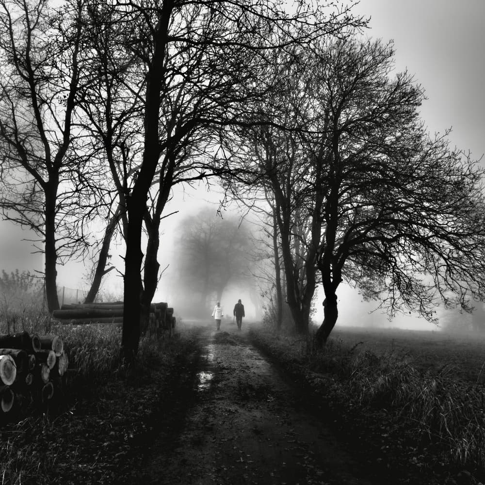 Walking Into Mist by Robert Kuavi — canvas wall art