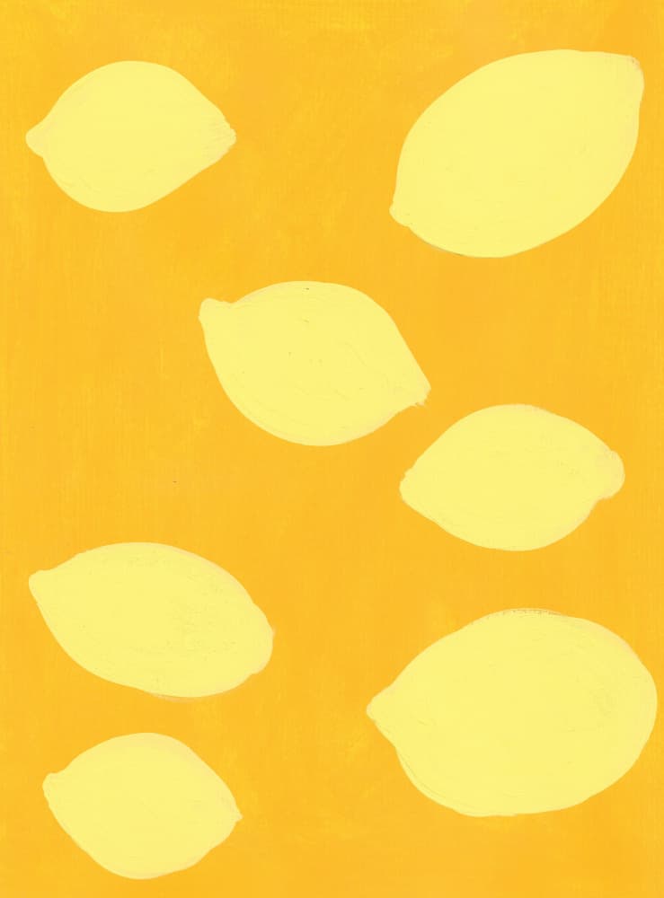 Zesty Yellow Lemons by Lerin Freyou — canvas wall art