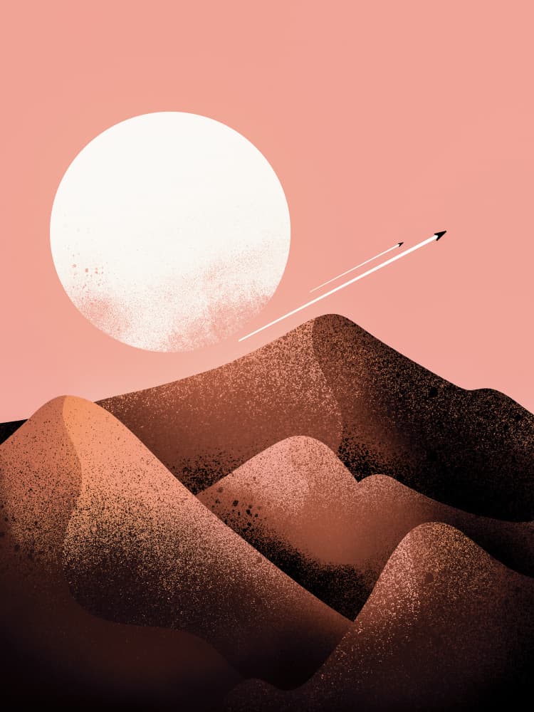 Desert Sun Flight by Stephen Wade — canvas wall art