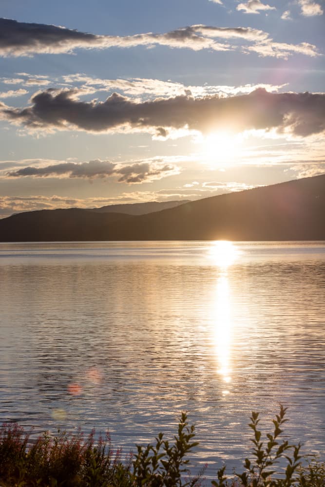 Golden Evening by Mareike Böhmer — canvas wall art