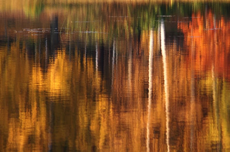 Golden Fall Reflections by Bror Johansson — canvas wall art