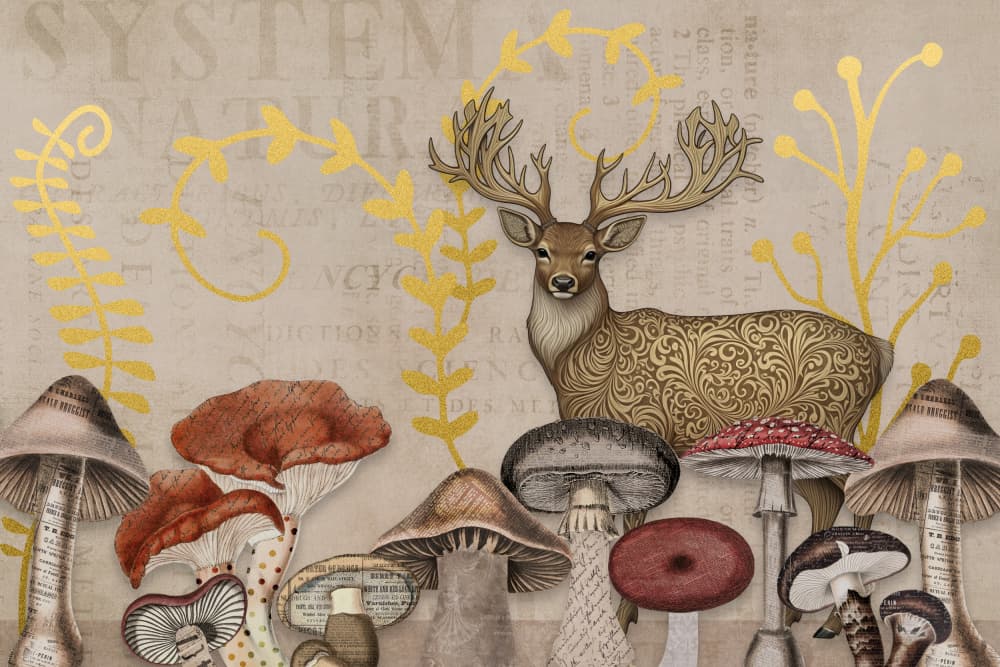 Enchanted Forest Deer by Andrea Haase — canvas wall art