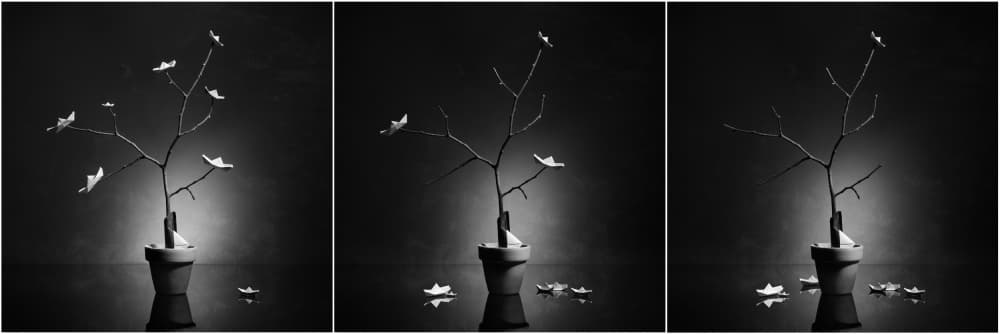 Serene Paper Tree by Victoria Glinka — canvas wall art