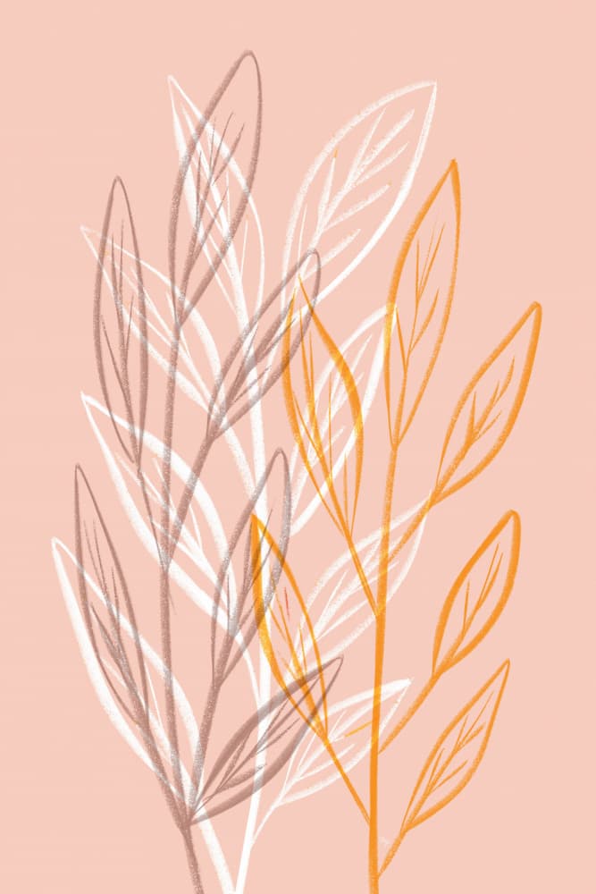 Minimalist Botanical Leaves by Martina — canvas wall art