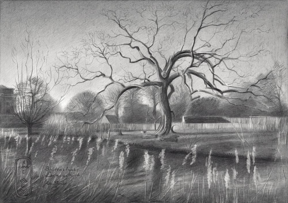 Winter Tree Reflections by Corné Akkers — canvas wall art