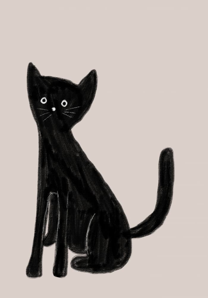 Curious Black Cat by Athene Fritsch — canvas wall art