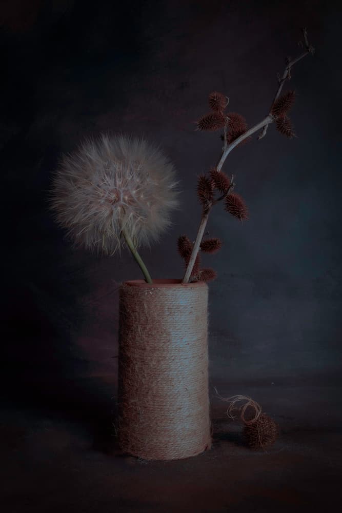 Moody Botanical Still Life by Cicek Kiral — canvas wall art
