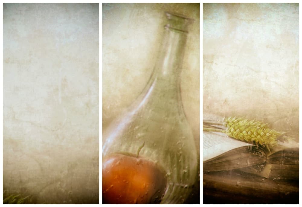 Vintage Bottle Apple Book by Delphine Devos — canvas wall art