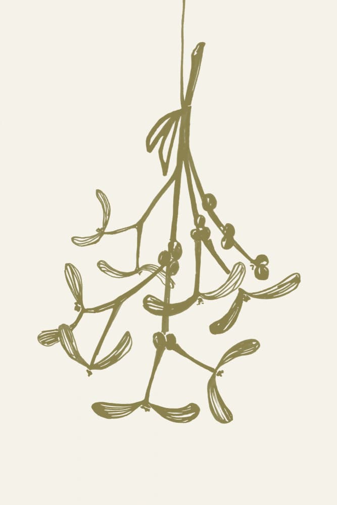 Hanging Mistletoe by Rosana Laiz Blursbyai — canvas wall art