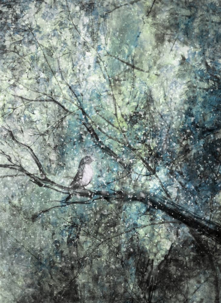 Serene Winter Bird by Delphine Devos — canvas wall art
