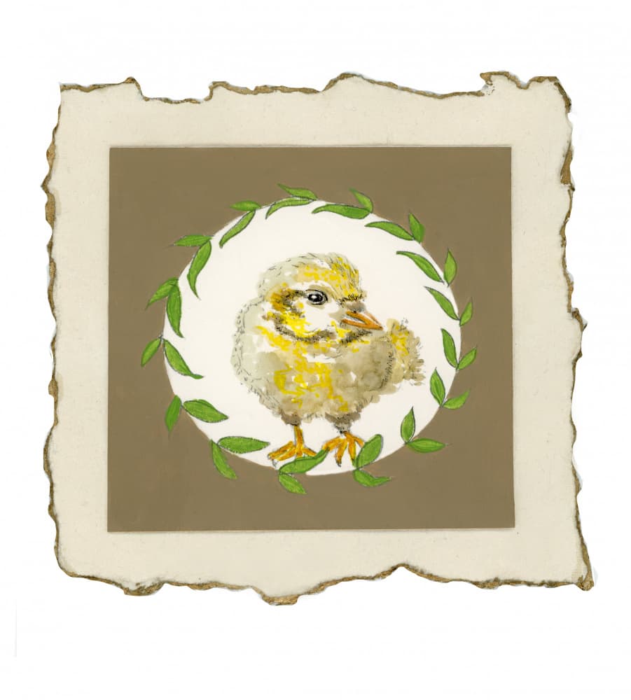 Chicky Chick by Breanna Megan Studio — canvas wall art