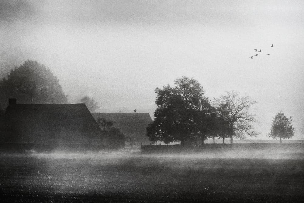 Misty Farm Morning by Piet Flour — canvas wall art