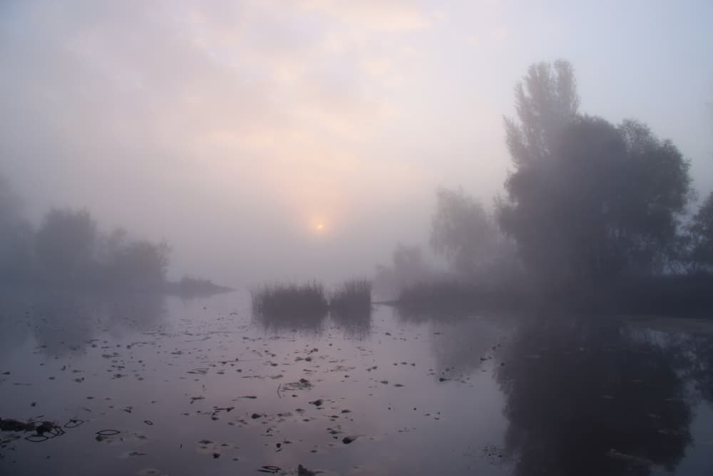 Misty Lake Sunrise by Alexander Kiyashko — canvas wall art