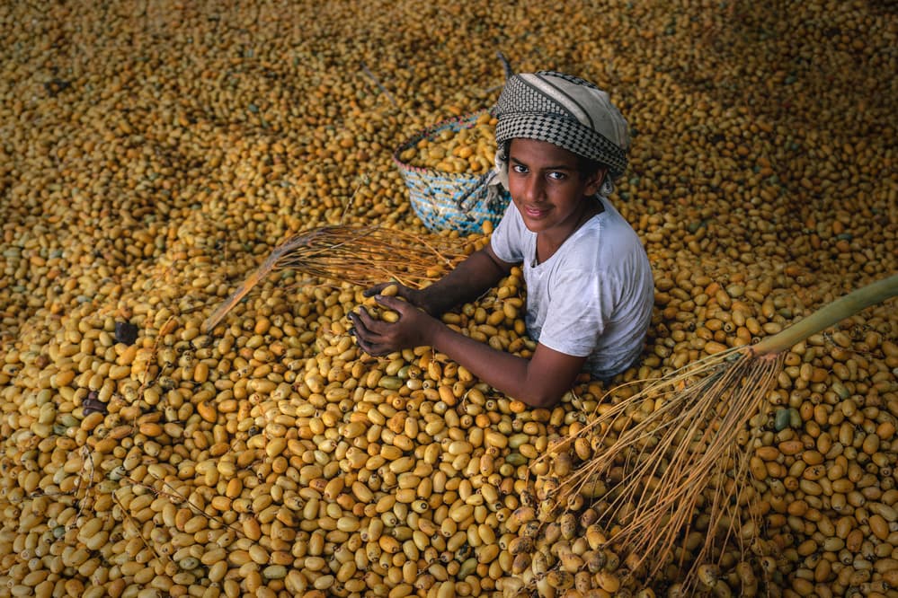 Smiling Date Harvester by Haitham AL Farsi — canvas wall art