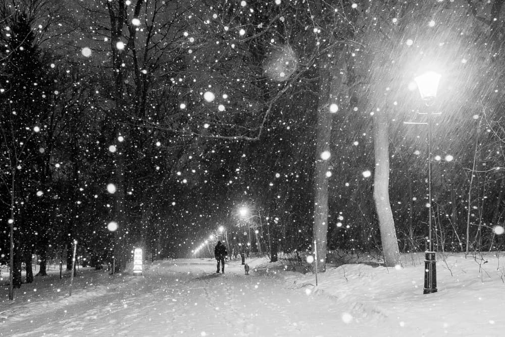 Snowy Park Walk by Michiko Ôtomo — canvas wall art