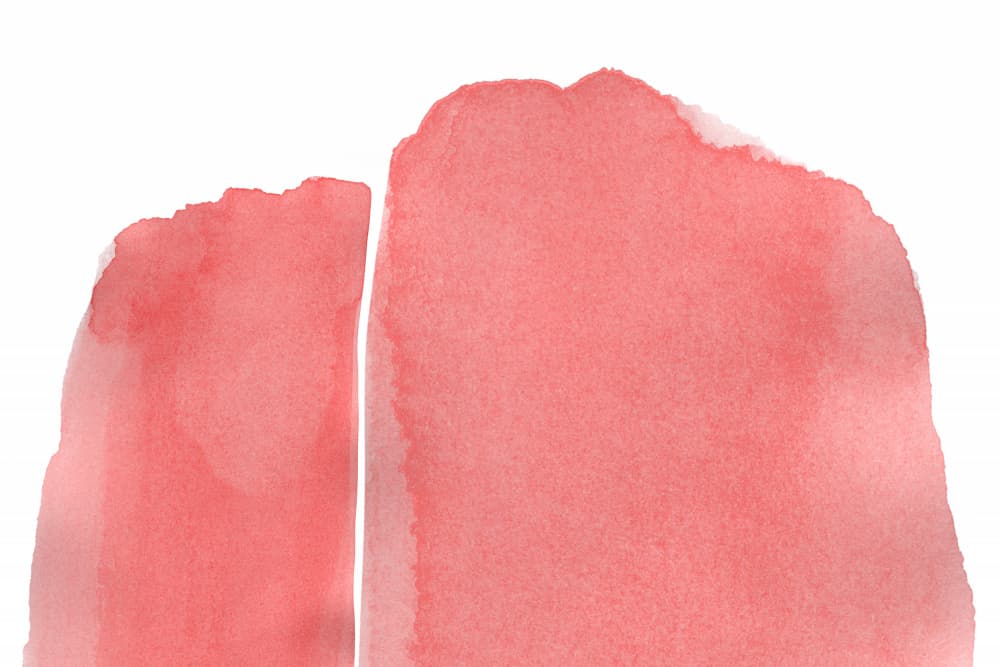 Gentle Coral Abstract by amini54 — canvas wall art