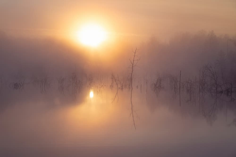 Misty Lake Sunrise by Norbert Maier — canvas wall art