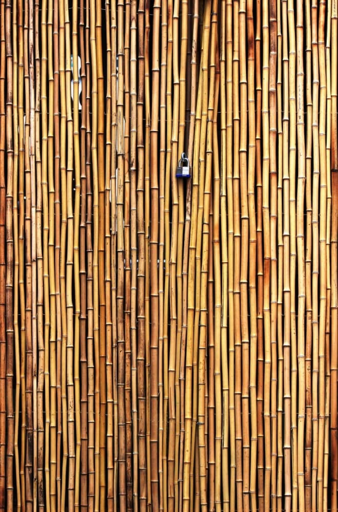 Locked Bamboo Gate by Jian Wang — canvas wall art