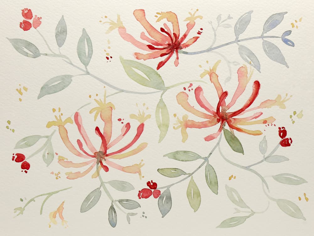 Delicate Watercolor Botanicals by Natalie Bruns — canvas wall art