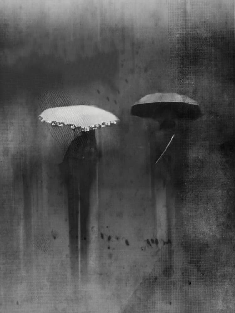 Figures In The Rain by Lammakmak — canvas wall art