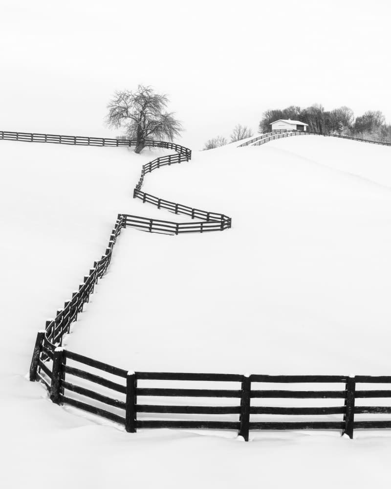 Winding Winter Fence by Steven Zhou — canvas wall art