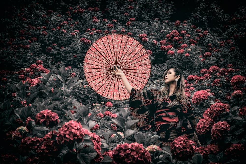 Kimono Woman Hydrangea Garden by KOIKI — canvas wall art