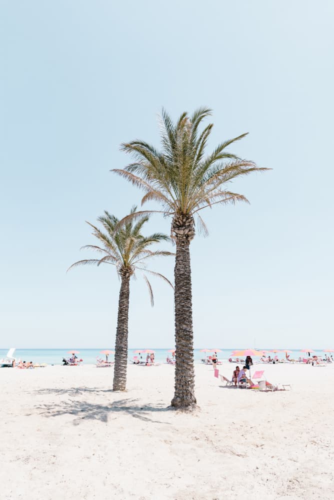 Tropical Palm Beach by Photolovers — canvas wall art