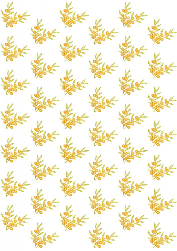 Vibrant Sea Buckthorn Pattern by kathrinmay — canvas wall art
