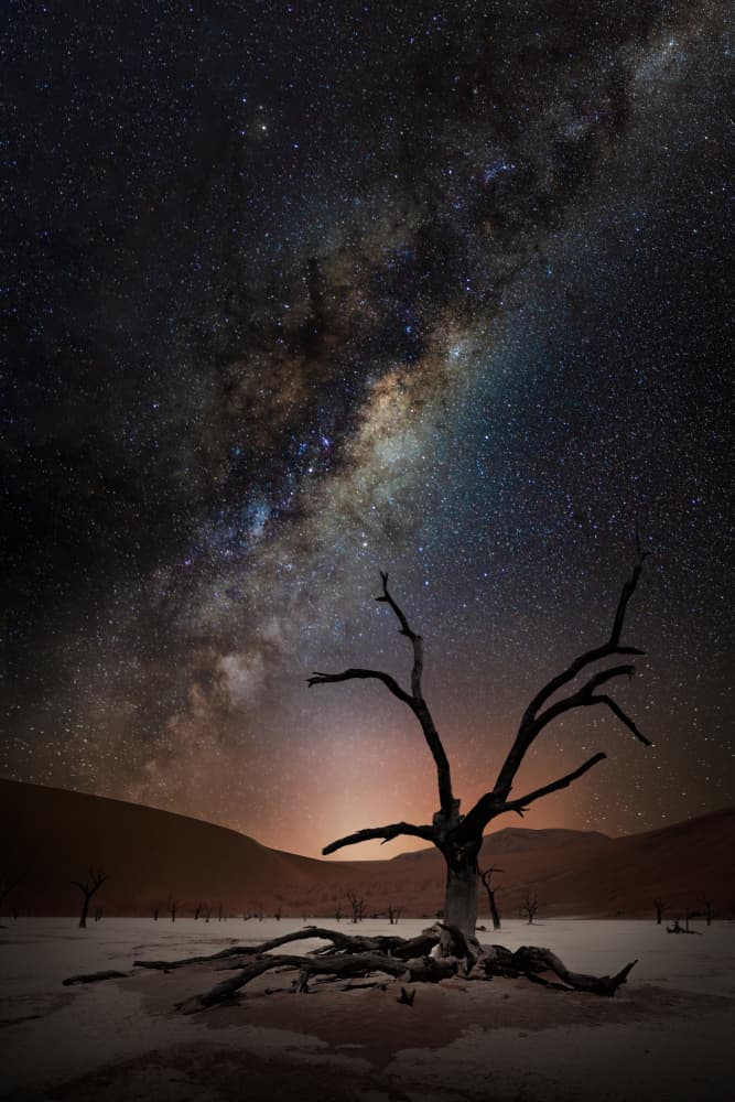 Milky Way Over Dead Tree by Marcel Egger — canvas wall art