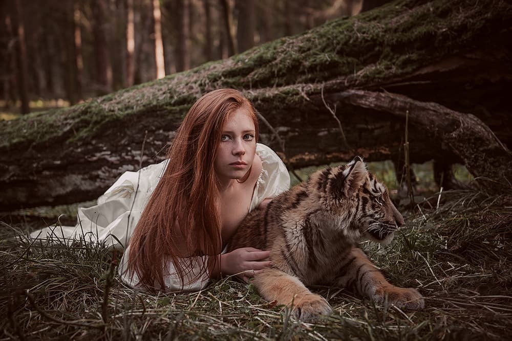 Enchanted Forest Friends by Olga Barantseva — canvas wall art