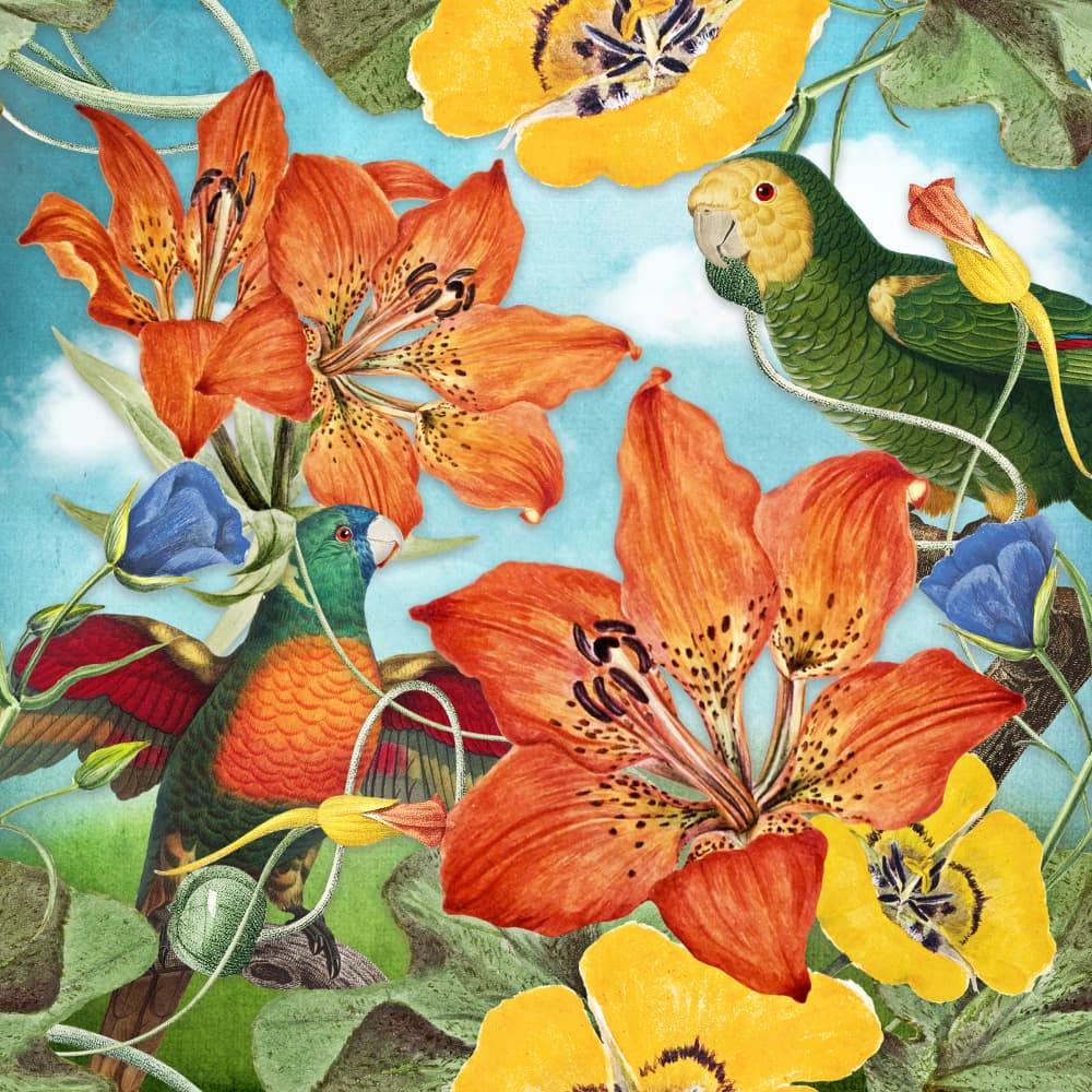 Exotic Birds Tropical Blooms by Marja van den Hurk — canvas wall art