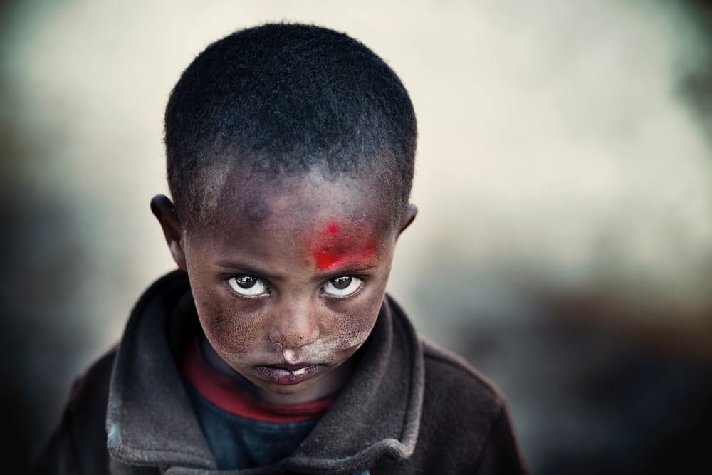 Intense Young Gaze by Trevor Cole — canvas wall art