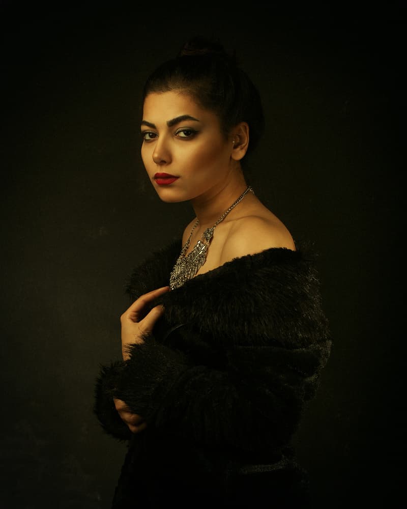 Elegant Woman In Fur by Mehdi Mokhtari — canvas wall art