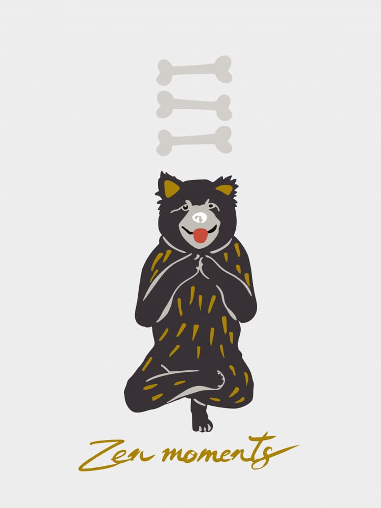 Zen Dog Meditating by Annick — canvas wall art